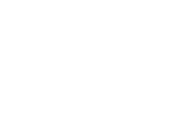 maganix logo